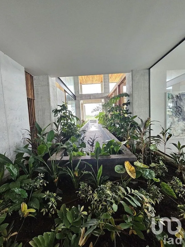 Departamento en Venta en Santa Gertrudis Copo, Mérida, Yucatán | NEX-285124 | iad México | Foto 1 de 23
