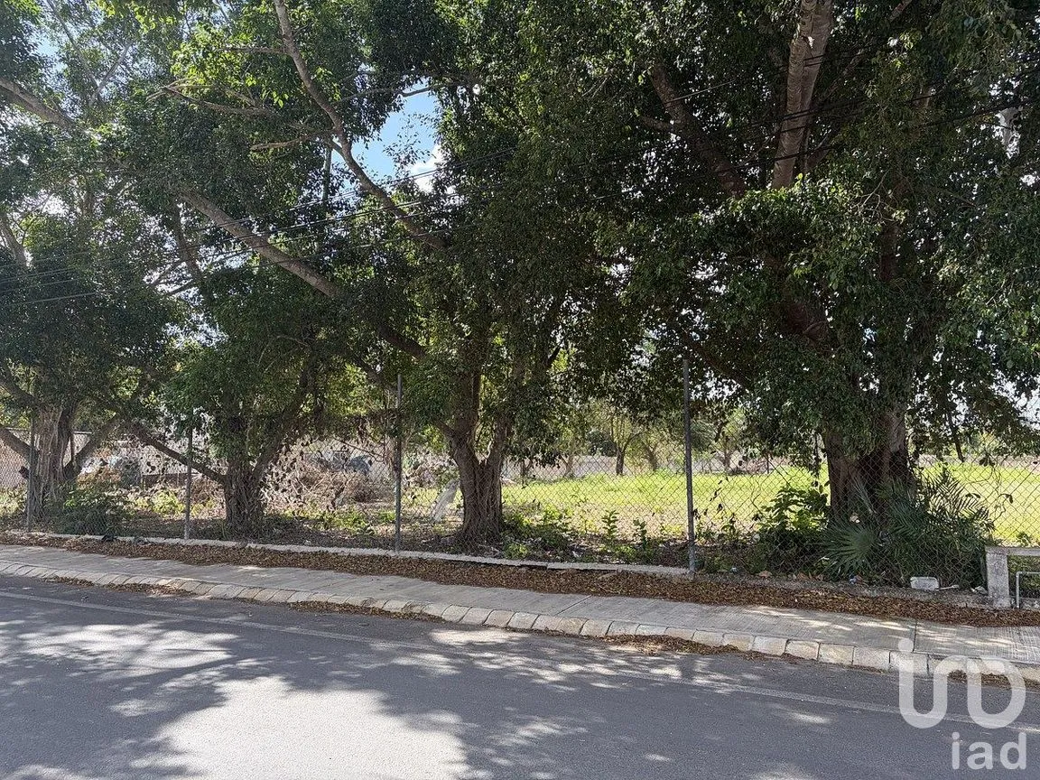 Terreno en Venta en Tizimin Centro, Tizimín, Yucatán | NEX-288282 | iad México | Foto 2 de 11