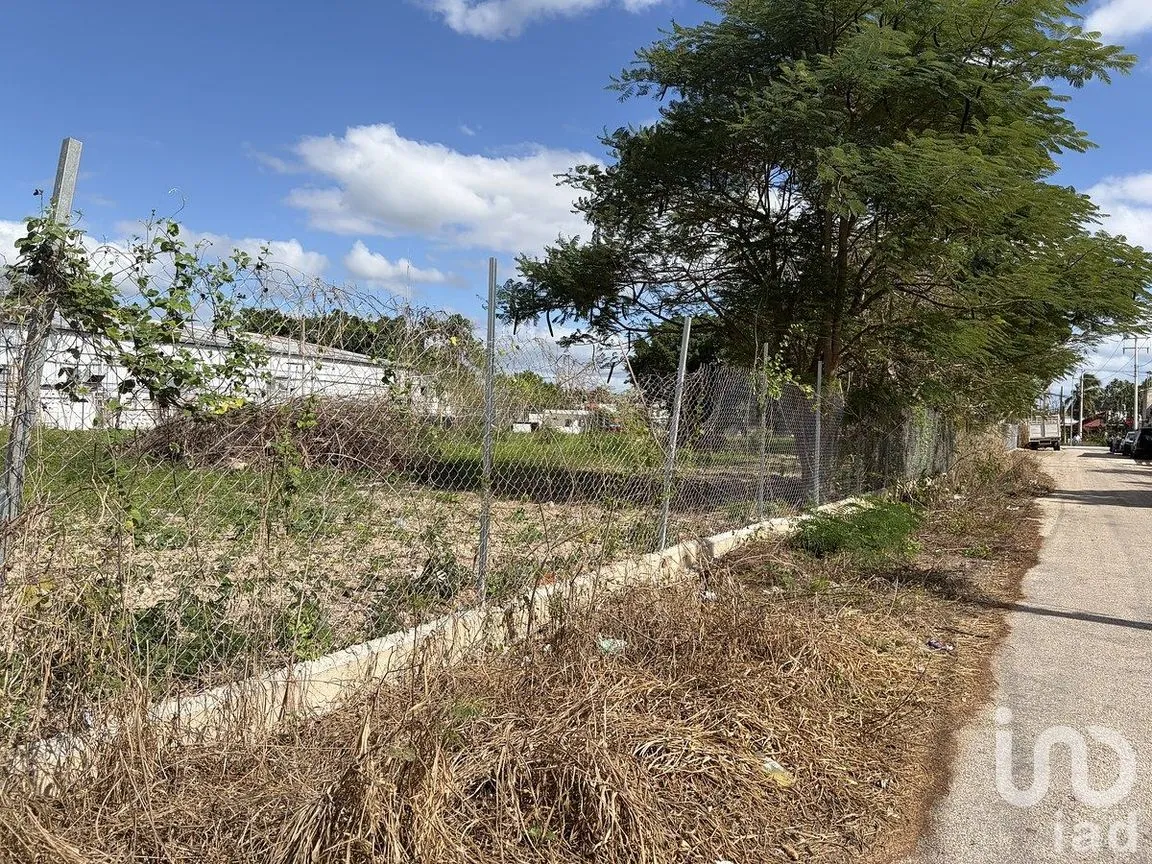 Terreno en Venta en Tizimin Centro, Tizimín, Yucatán | NEX-288282 | iad México | Foto 11 de 11