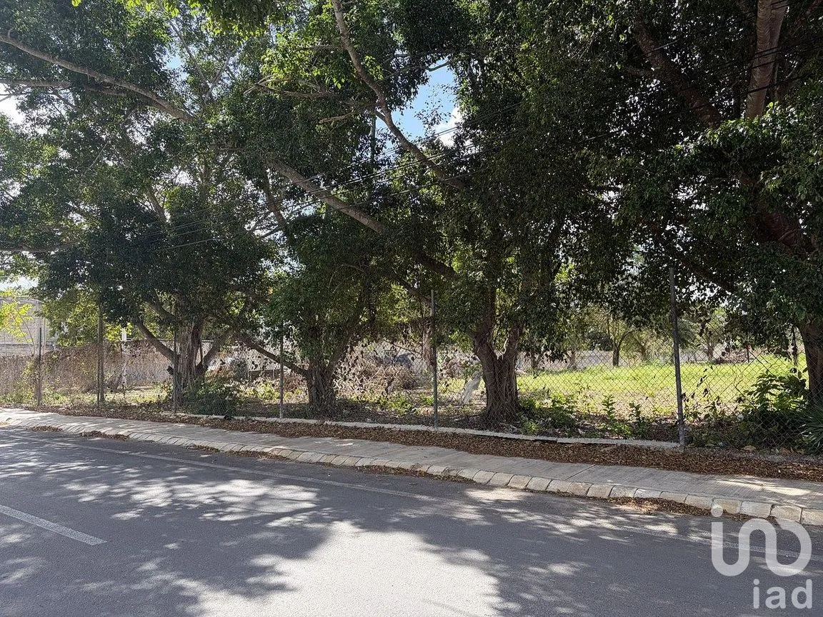 Terreno en Venta en Tizimin Centro, Tizimín, Yucatán | NEX-288282 | iad México | Foto 3 de 11