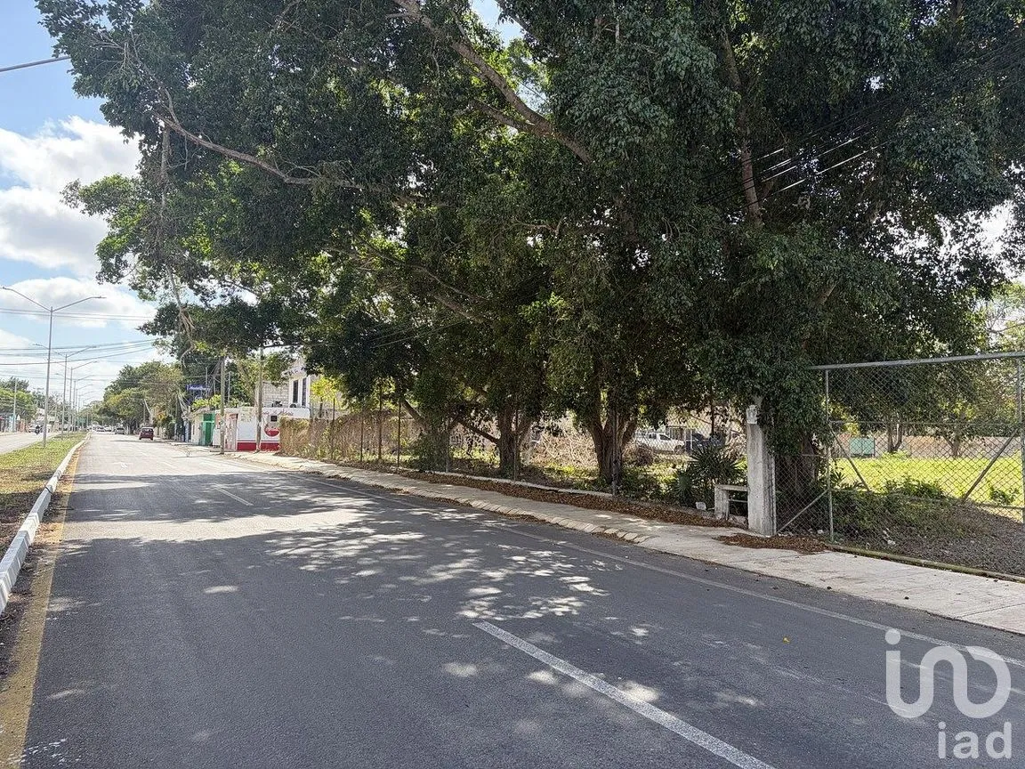 Terreno en Venta en Tizimin Centro, Tizimín, Yucatán | NEX-288282 | iad México | Foto 4 de 11