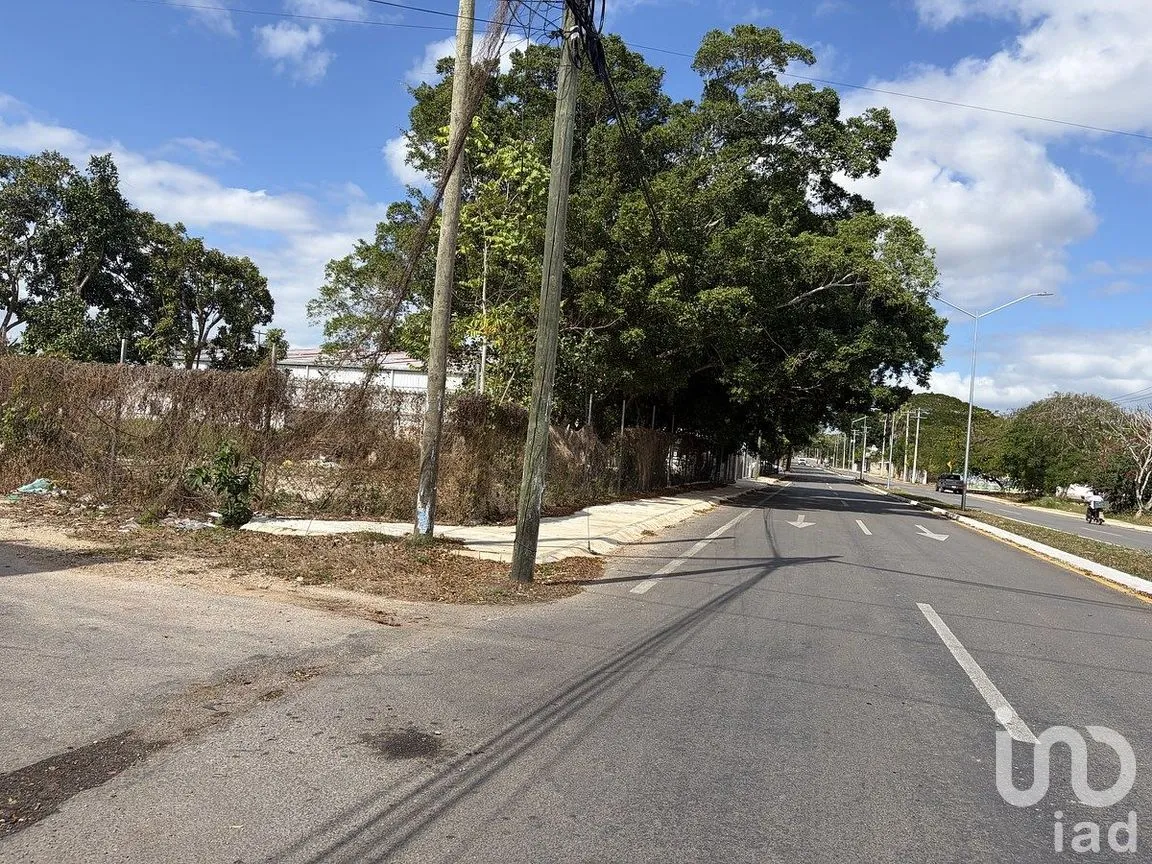 Terreno en Venta en Tizimin Centro, Tizimín, Yucatán | NEX-288282 | iad México | Foto 7 de 11