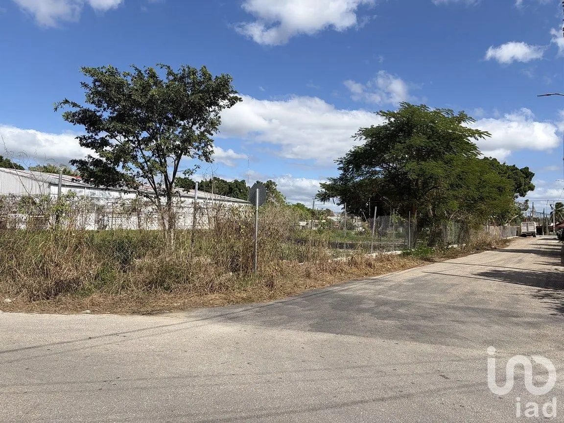 Terreno en Venta en Tizimin Centro, Tizimín, Yucatán | NEX-288282 | iad México | Foto 9 de 11