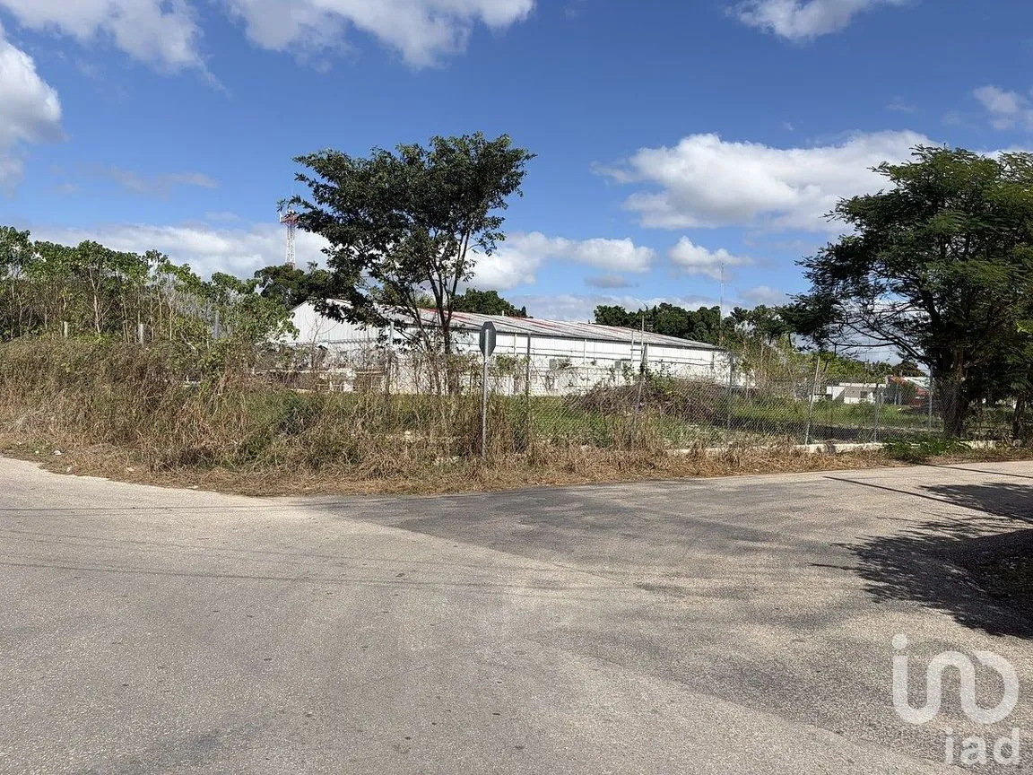 Terreno en Venta en Tizimin Centro, Tizimín, Yucatán | NEX-288282 | iad México | Foto 10 de 11