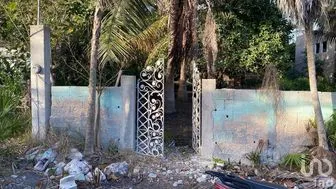 NEX-288822 - Terreno en Venta en El Cuyo, CP 97707, Yucatán.