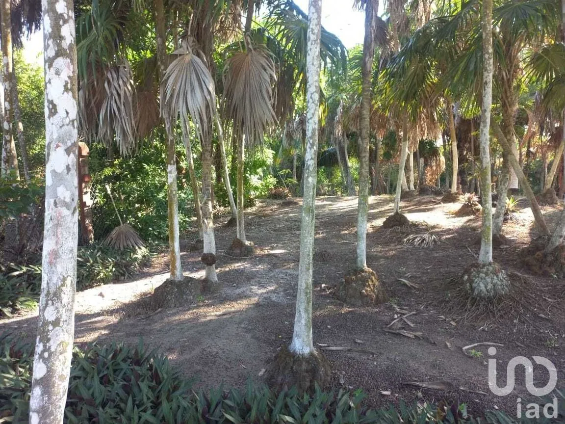 Terreno en Venta en El Cuyo, Tizimín, Yucatán | NEX-293019 | iad México | Foto 5 de 7