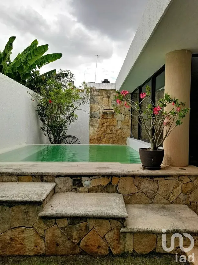Casa en Venta en Montecristo, Mérida, Yucatán | NEX-93040 | iad México | Foto 5 de 15