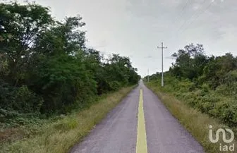 NEX-228529 - Terreno en Venta en San Antonio Tzacalá, CP 97315, Yucatán.