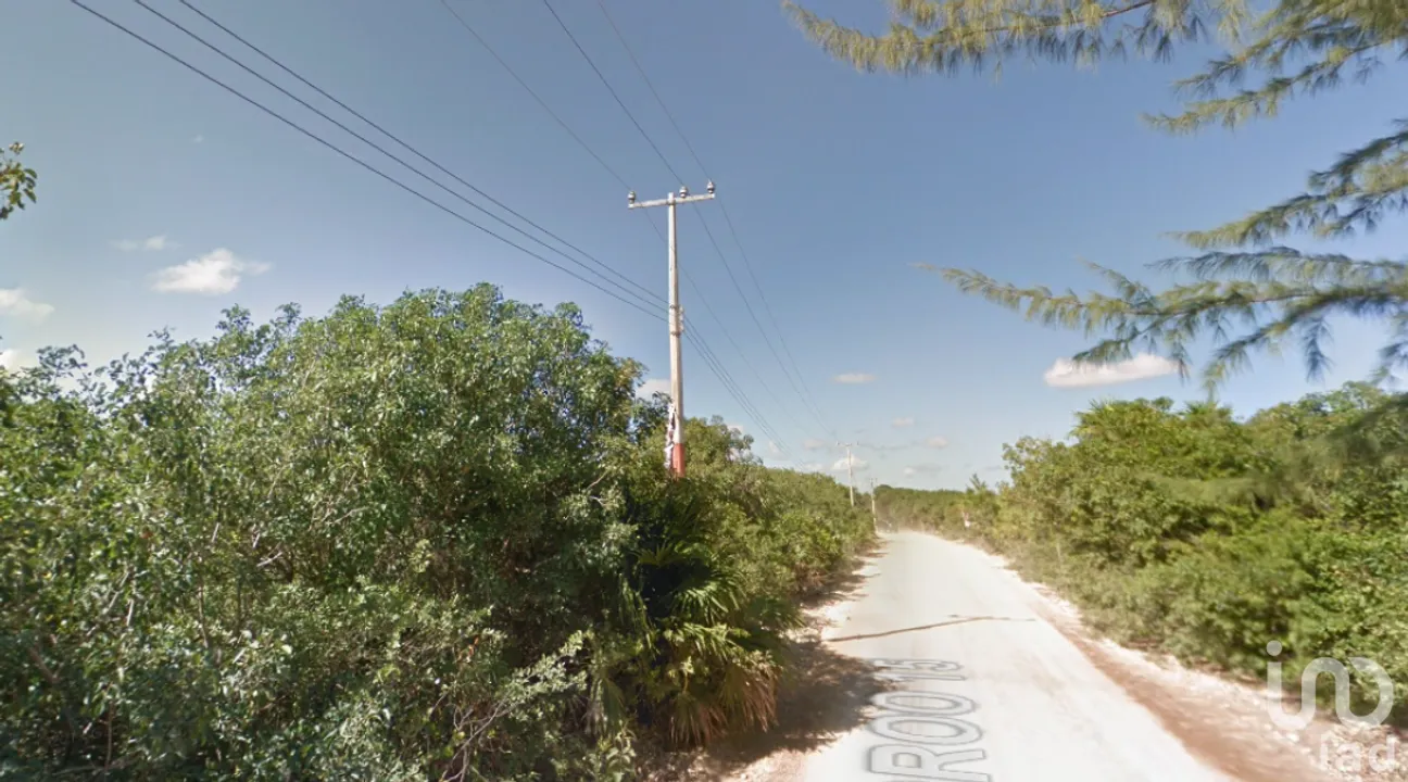 Terreno en Venta en Javier Rojo Gómez (Punta Allen), Tulum, Quintana Roo | NEX-228537 | iad México | Foto 5 de 9