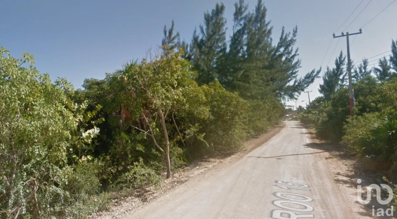 Terreno en Venta en Javier Rojo Gómez (Punta Allen), Tulum, Quintana Roo | NEX-228537 | iad México | Foto 6 de 9