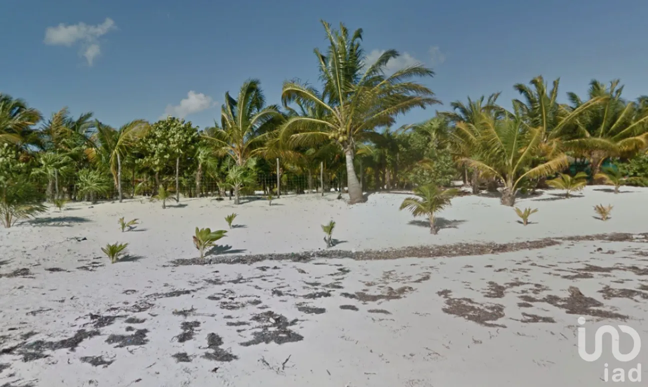 Terreno en Venta en Javier Rojo Gómez (Punta Allen), Tulum, Quintana Roo | NEX-228537 | iad México | Foto 7 de 9