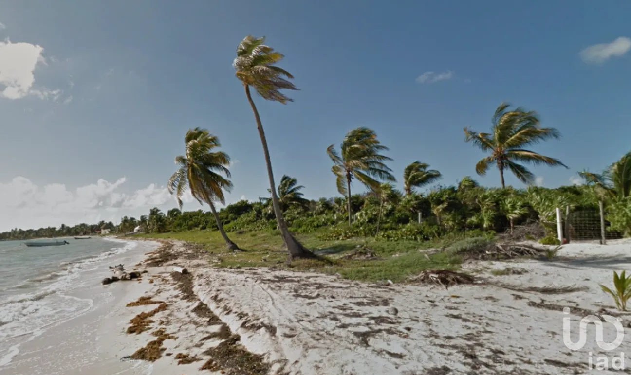 Terreno en Venta en Javier Rojo Gómez (Punta Allen), Tulum, Quintana Roo | NEX-228537 | iad México | Foto 8 de 9