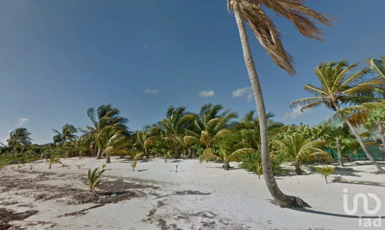 Terreno en Venta en Javier Rojo Gómez (Punta Allen), Tulum, Quintana Roo | NEX-228537 | iad México | Foto 9 de 9