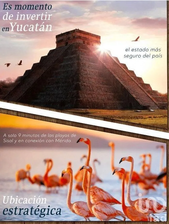 Terreno en Venta en Sisal, Hunucmá, Yucatán | NEX-228542 | iad México | Foto 2 de 2