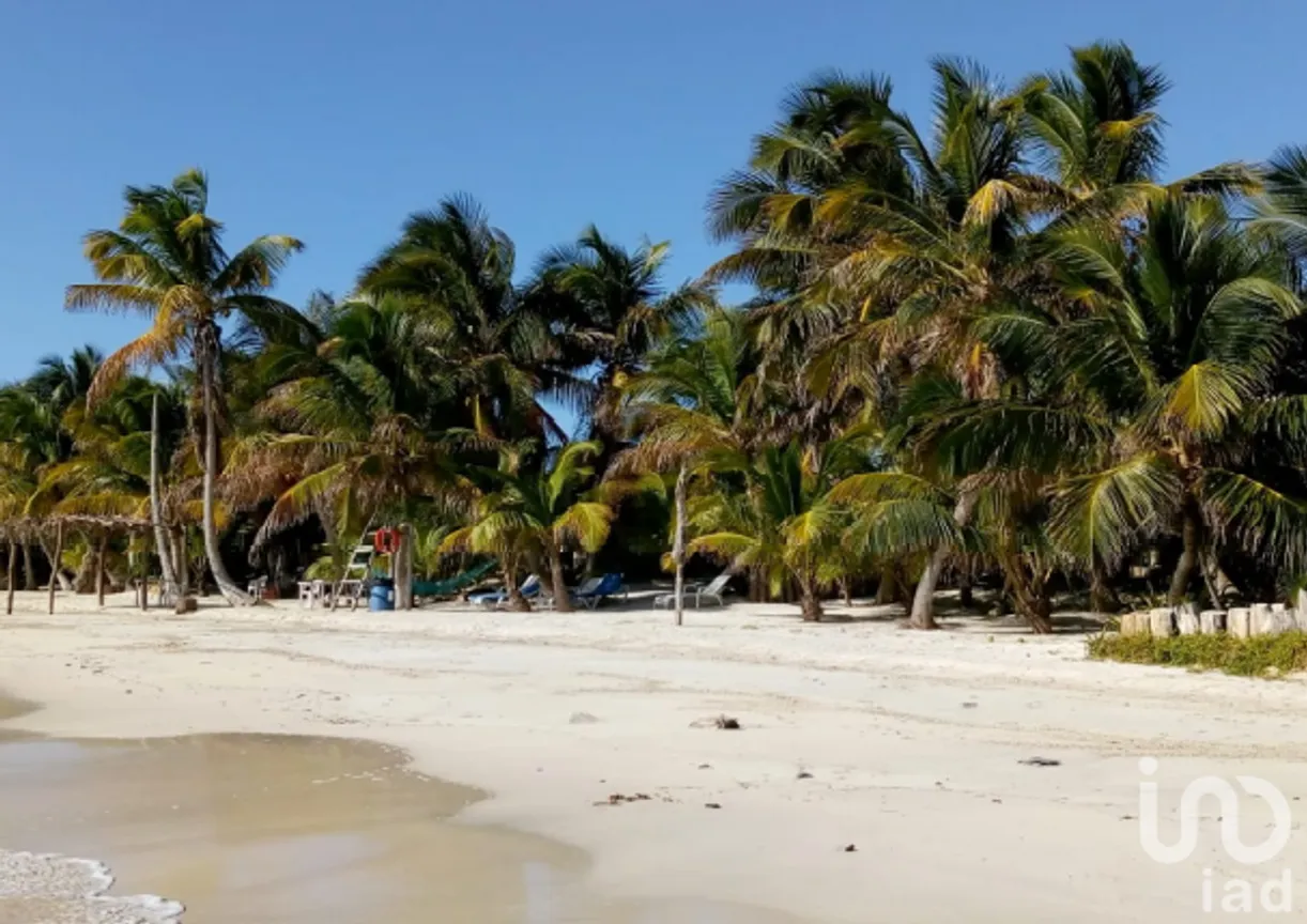 Casa en Venta en Mahahual, Othón P. Blanco, Quintana Roo | NEX-228545 | iad México | Foto 3 de 13
