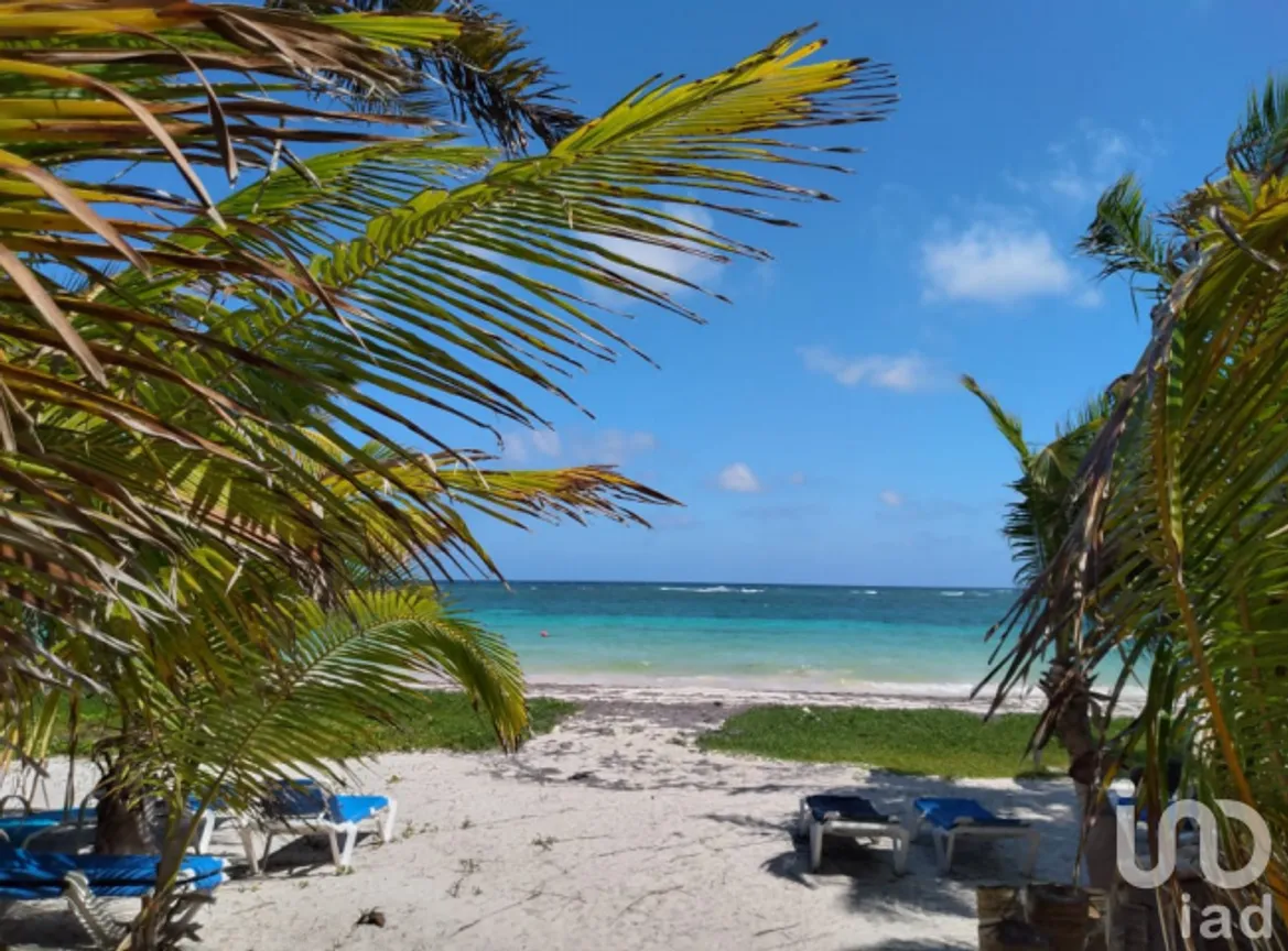 Casa en Venta en Mahahual, Othón P. Blanco, Quintana Roo | NEX-228545 | iad México | Foto 5 de 13