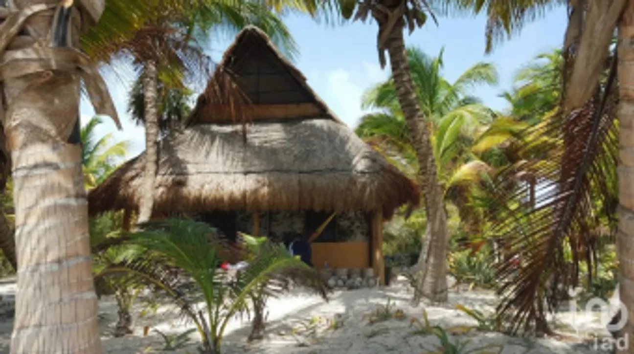 Casa en Venta en Mahahual, Othón P. Blanco, Quintana Roo | NEX-228545 | iad México | Foto 6 de 13