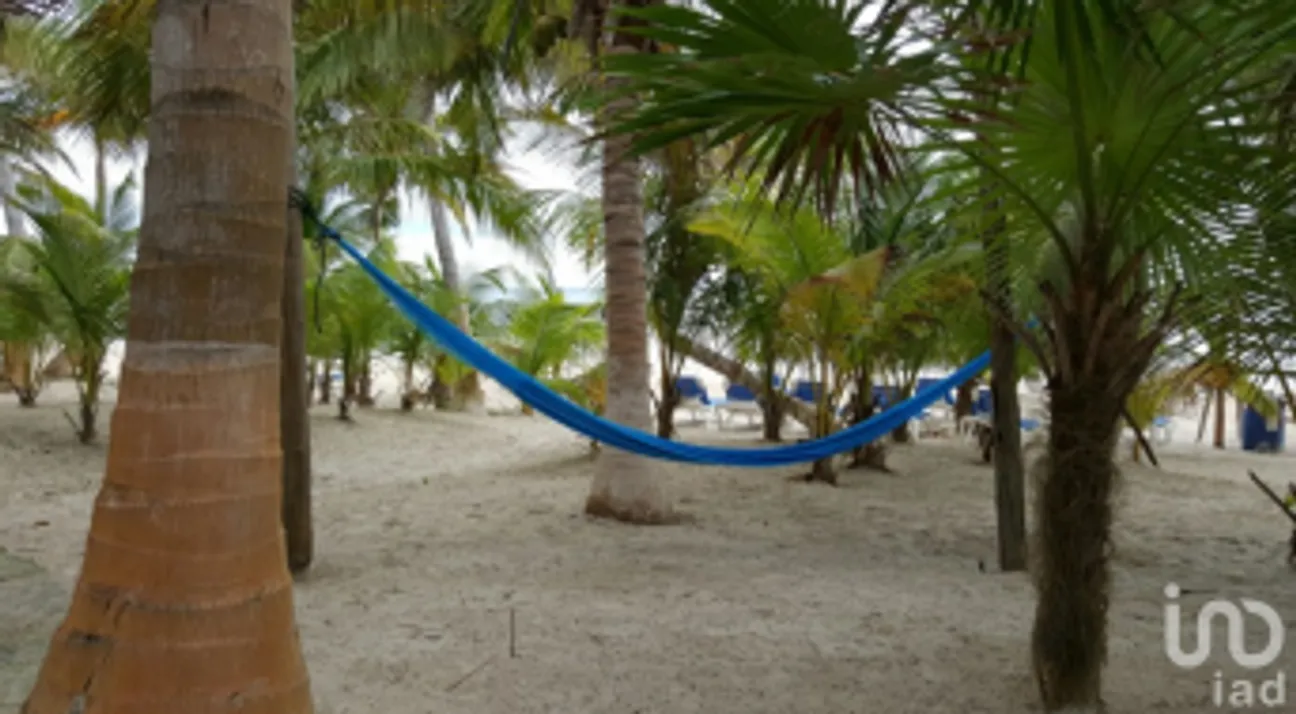 Casa en Venta en Mahahual, Othón P. Blanco, Quintana Roo | NEX-228545 | iad México | Foto 8 de 13