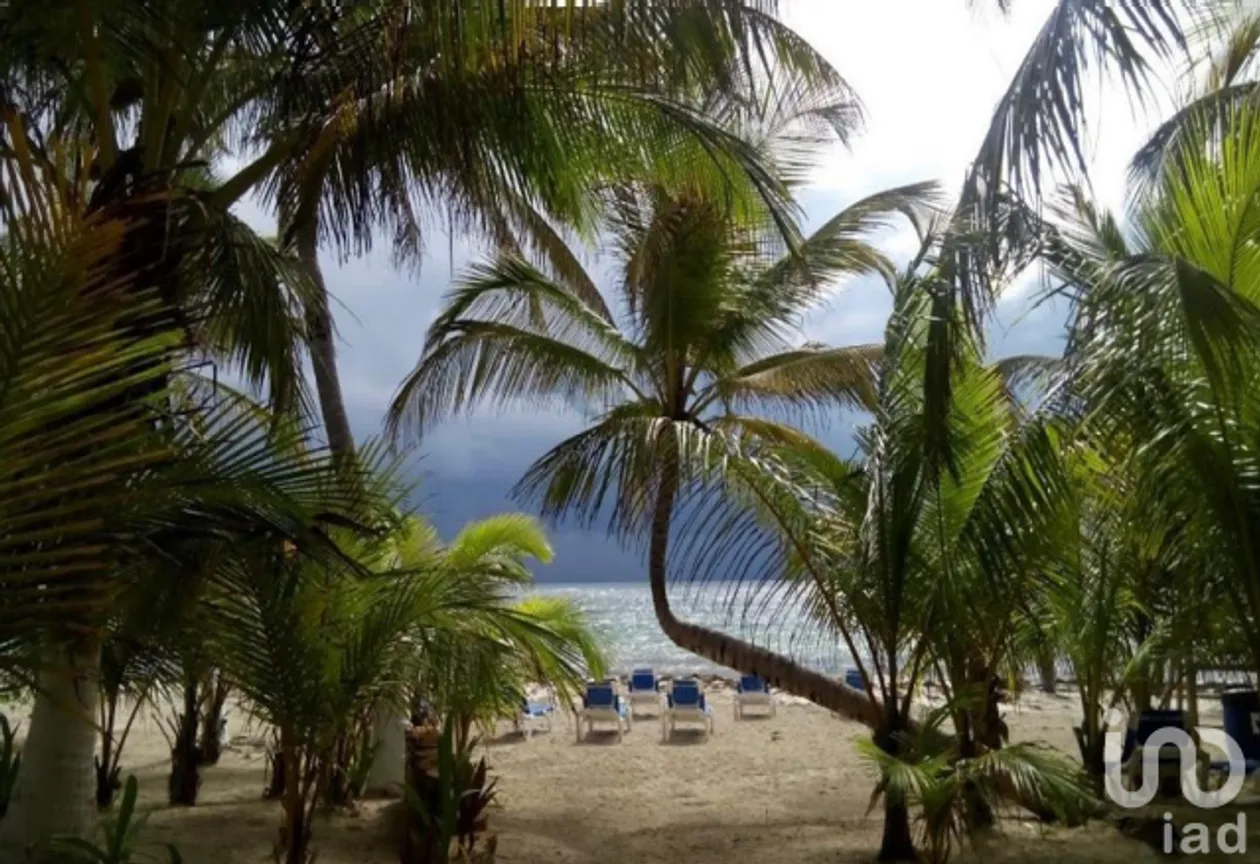 Casa en Venta en Mahahual, Othón P. Blanco, Quintana Roo | NEX-228545 | iad México | Foto 9 de 13