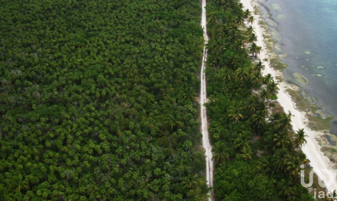 Terreno en Venta en Mahahual, Othón P. Blanco, Quintana Roo | NEX-228552 | iad México | Foto 2 de 9