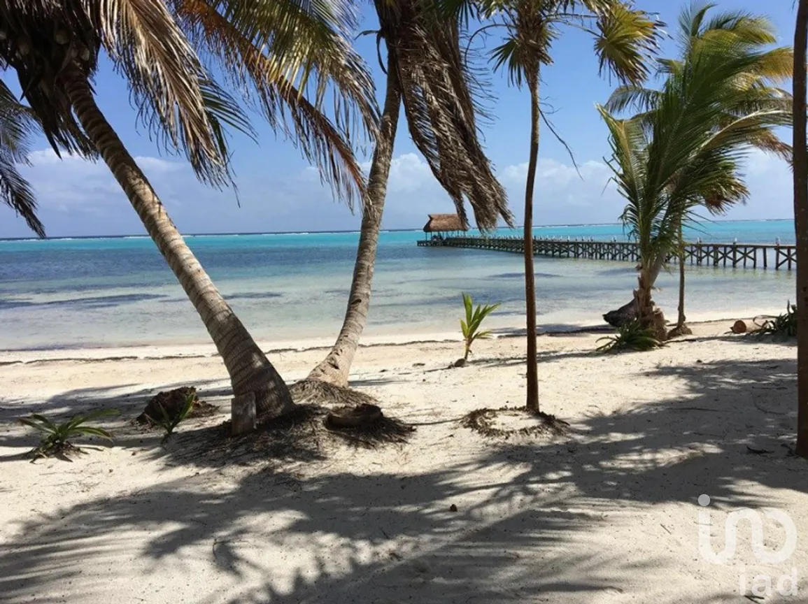 Terreno en Venta en Mahahual, Othón P. Blanco, Quintana Roo | NEX-228552 | iad México | Foto 5 de 9