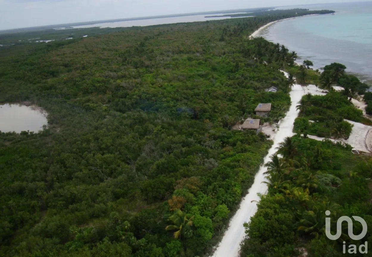 Terreno en Venta en Mahahual, Othón P. Blanco, Quintana Roo | NEX-228552 | iad México | Foto 9 de 9