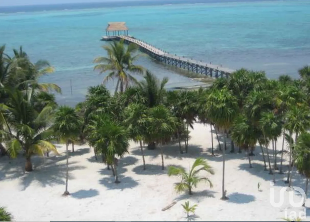 Terreno en Venta en Mahahual, Othón P. Blanco, Quintana Roo | NEX-228552 | iad México | Foto 1 de 9