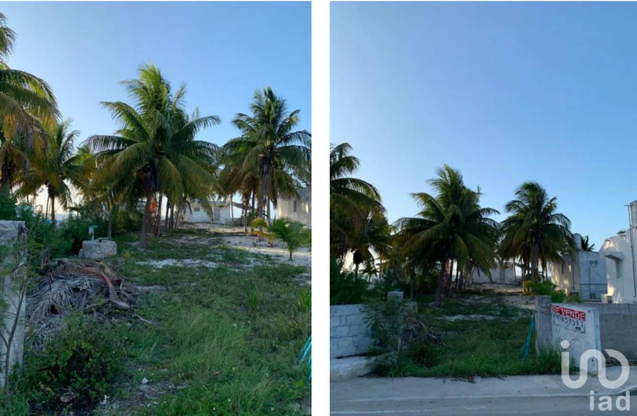 Terreno en Venta en Chabihau, Yobaín, Yucatán | NEX-228553 | iad México | Foto 4 de 6