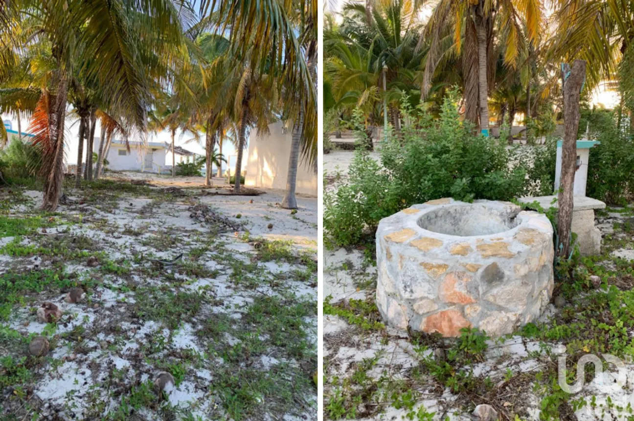 Terreno en Venta en Chabihau, Yobaín, Yucatán | NEX-228553 | iad México | Foto 6 de 6