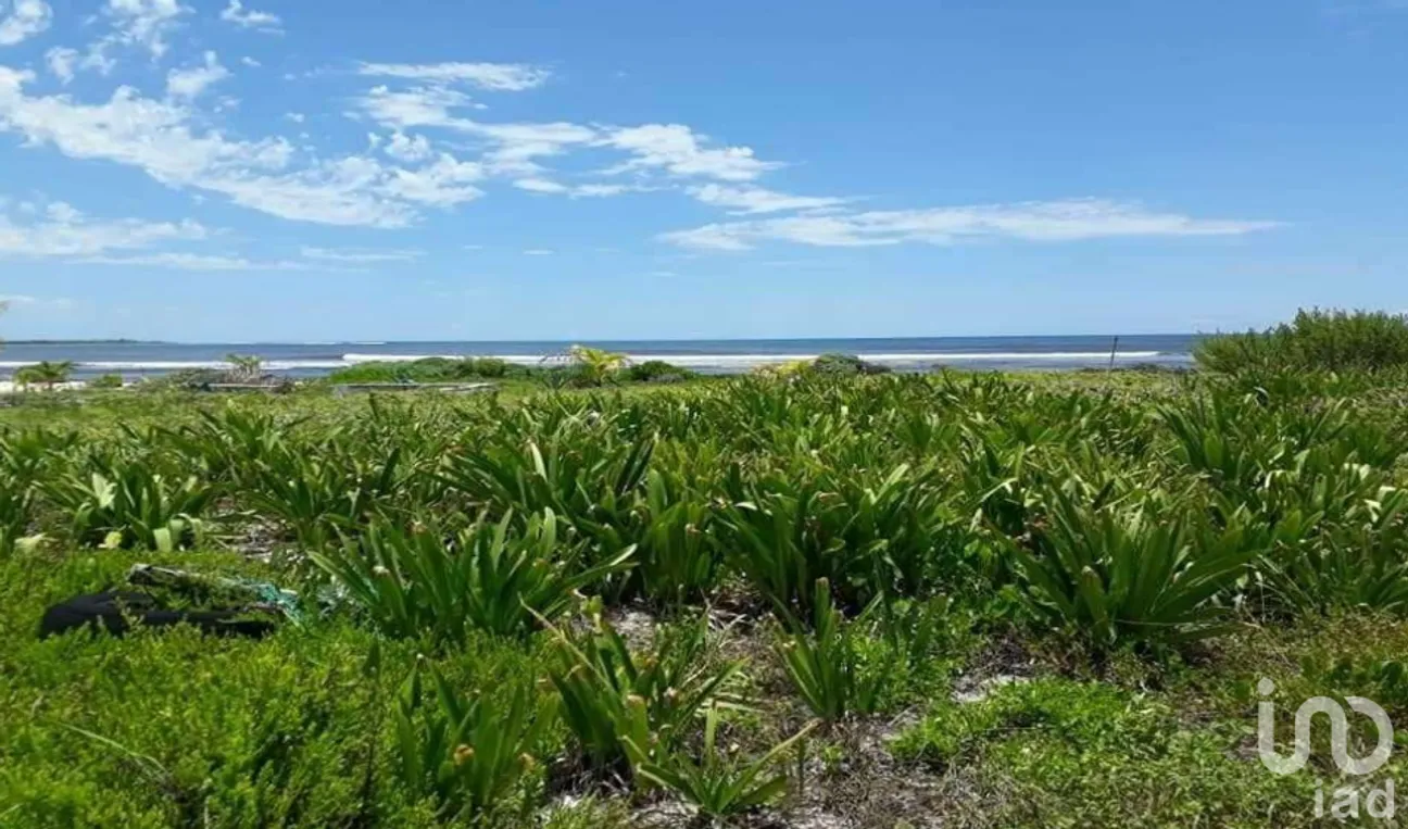 Terreno en Venta en Mahahual, Othón P. Blanco, Quintana Roo | NEX-228555 | iad México | Foto 1 de 3
