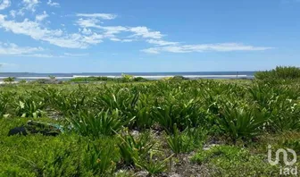 NEX-228555 - Terreno en Venta en Mahahual, CP 77976, Quintana Roo.