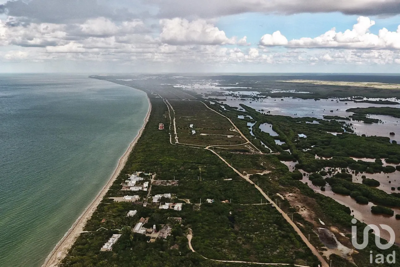 Terreno en Venta en Sisal, Hunucmá, Yucatán | NEX-228556 | iad México | Foto 5 de 6