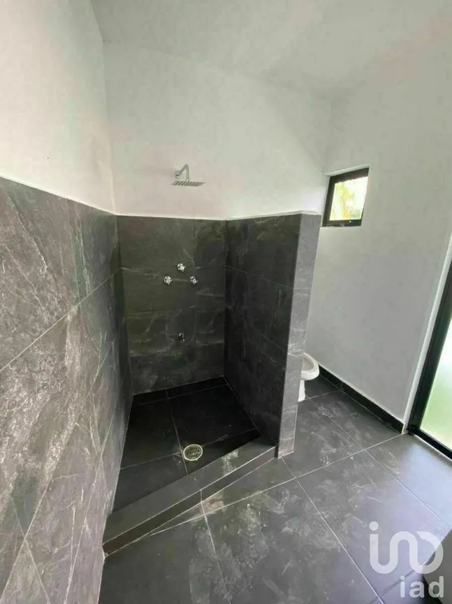 Oficina en Renta en Campestre, Mérida, Yucatán | NEX-228565 | iad México | Foto 21 de 24