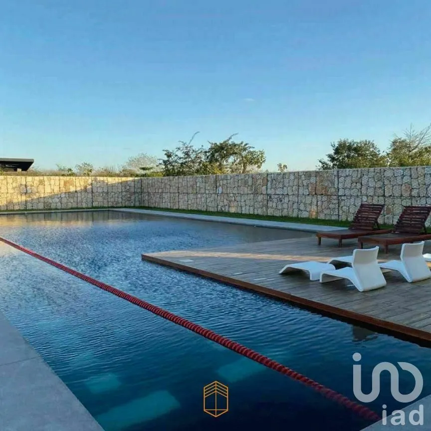Terreno en Venta en Santa Gertrudis Copo, Mérida, Yucatán | NEX-228582 | iad México | Foto 6 de 19