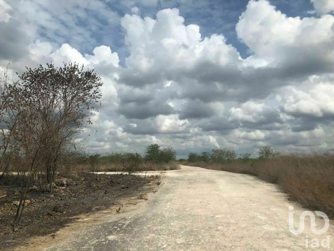 Terreno en Venta en Conkal, Conkal, Yucatán | NEX-228589 | iad México | Foto 3 de 5