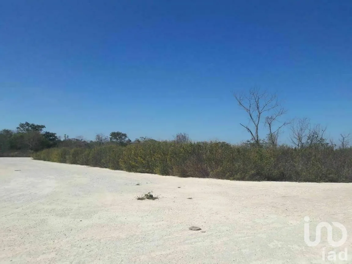 Terreno en Venta en Conkal, Conkal, Yucatán | NEX-228589 | iad México | Foto 4 de 5
