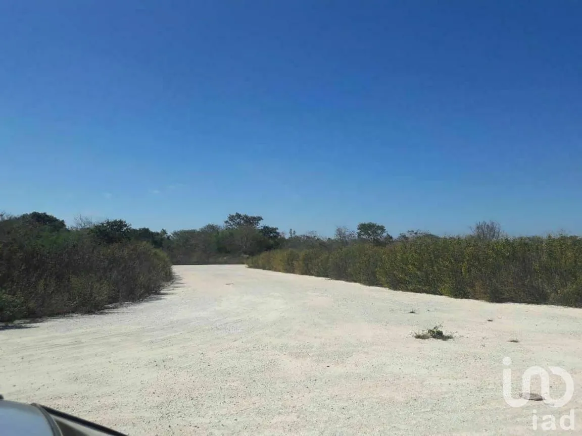 Terreno en Venta en Conkal, Conkal, Yucatán | NEX-228589 | iad México | Foto 5 de 5