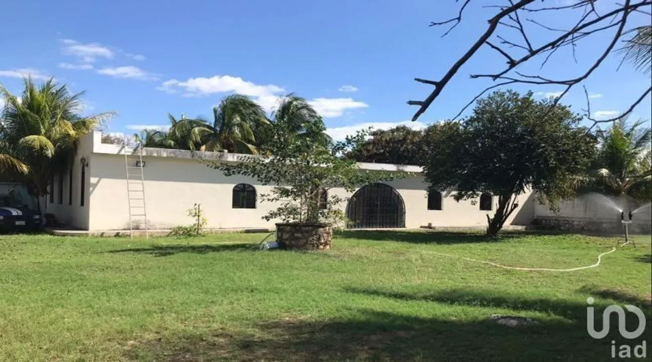Local en Venta en Santa Gertrudis Copo, Mérida, Yucatán | NEX-228616 | iad México | Foto 3 de 7