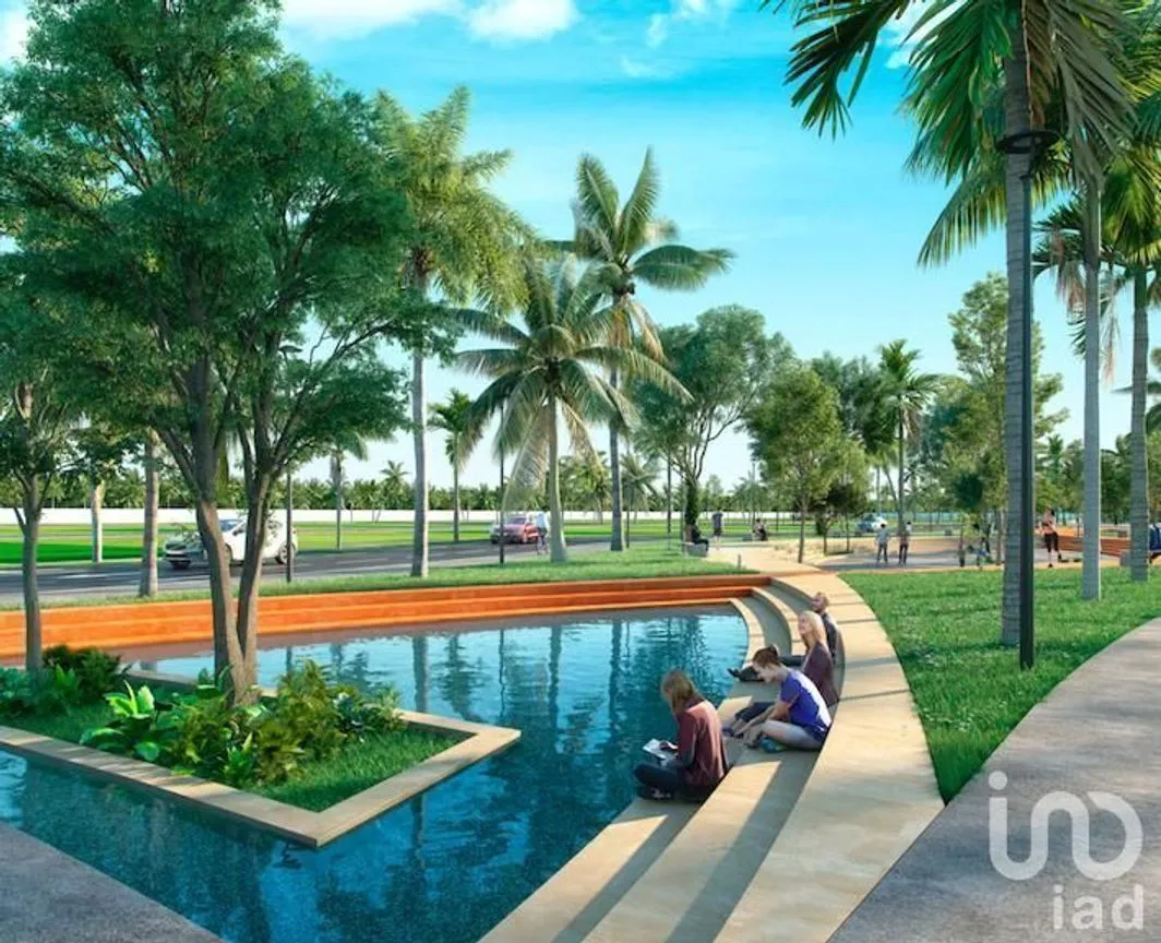 Terreno en Venta en San Crisanto, Sinanché, Yucatán | NEX-228621 | iad México | Foto 3 de 6