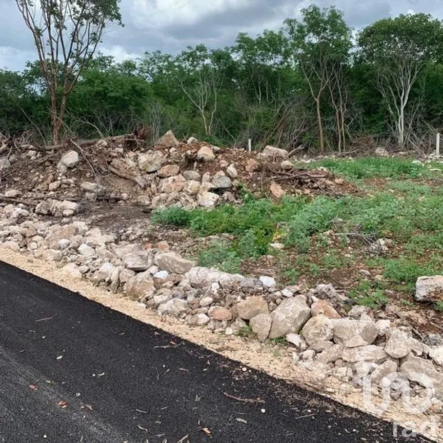 Terreno en Venta en Conkal, Conkal, Yucatán | NEX-228623 | iad México | Foto 3 de 5