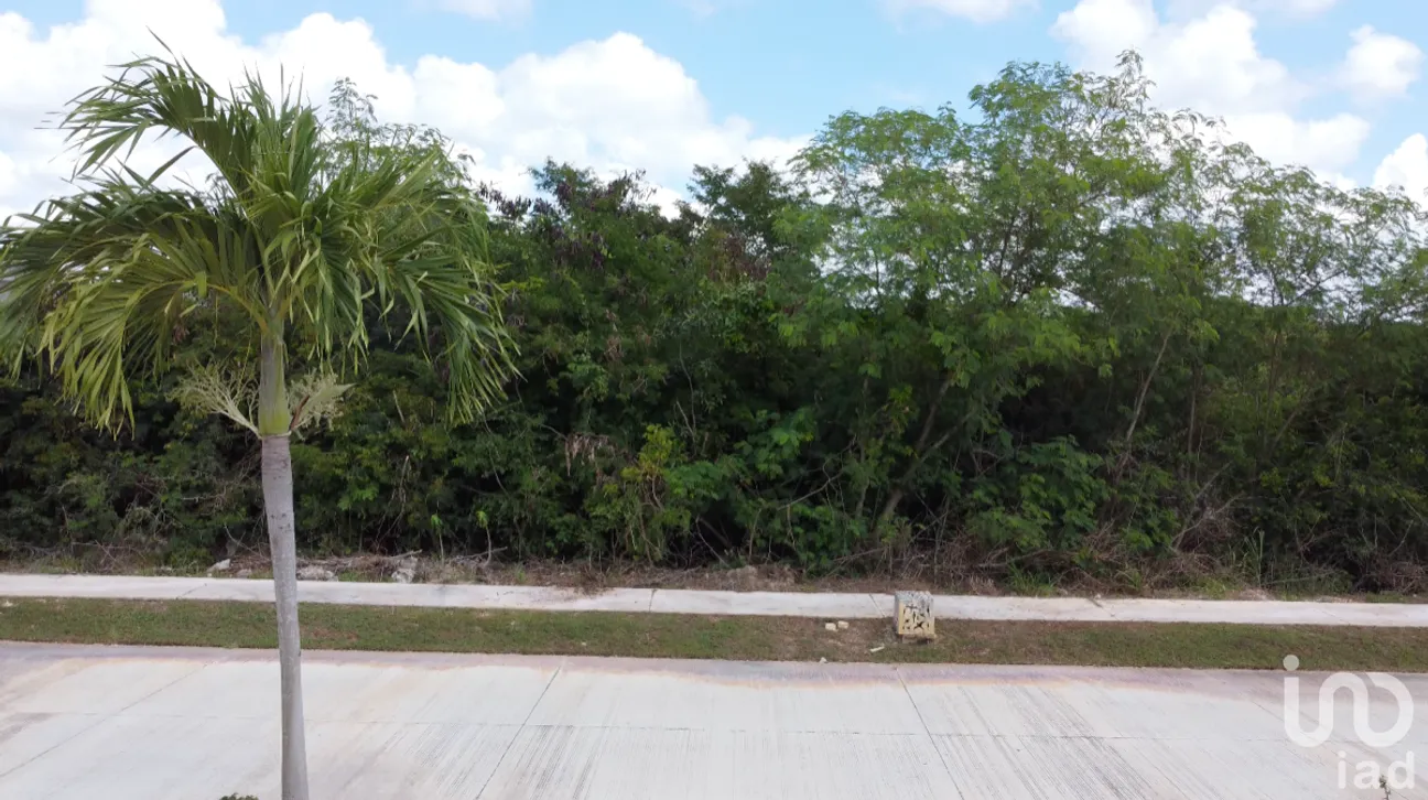 Terreno en Venta en Yucatán Country Club, Mérida, Yucatán | NEX-228650 | iad México | Foto 5 de 8
