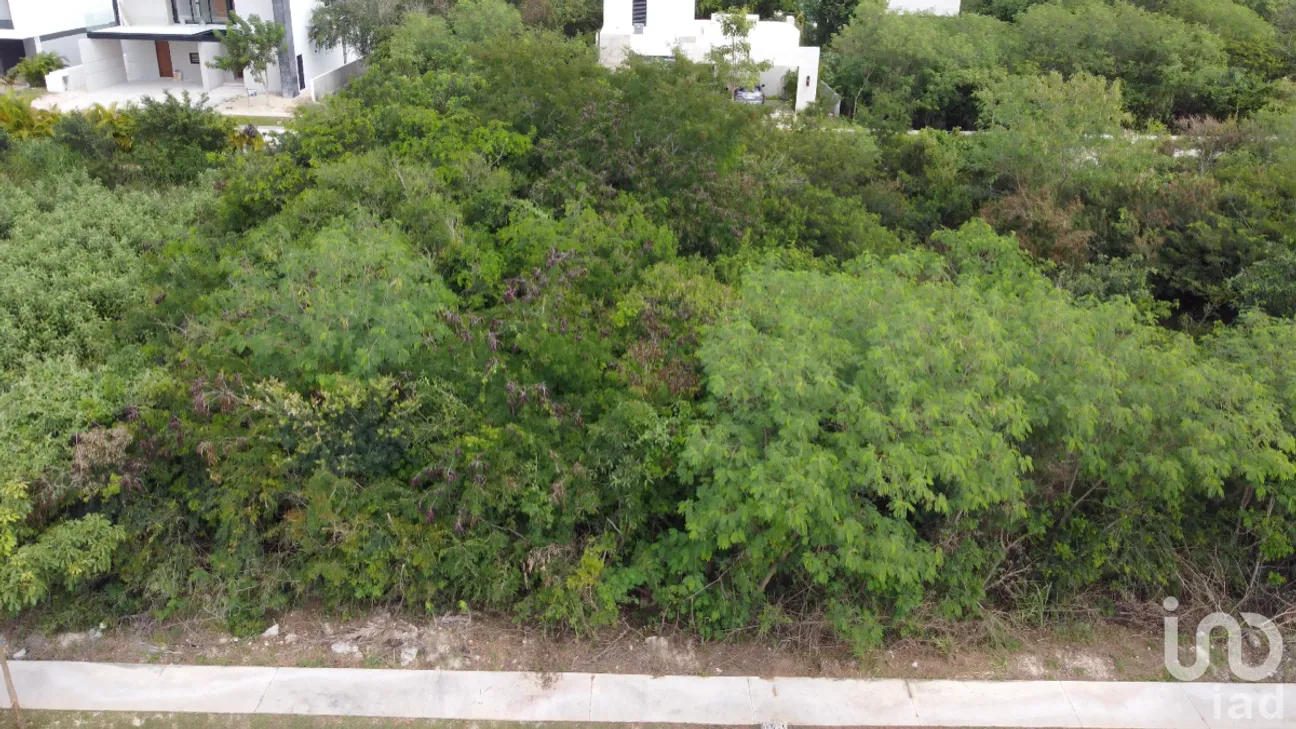 Terreno en Venta en Yucatán Country Club, Mérida, Yucatán | NEX-228650 | iad México | Foto 7 de 8
