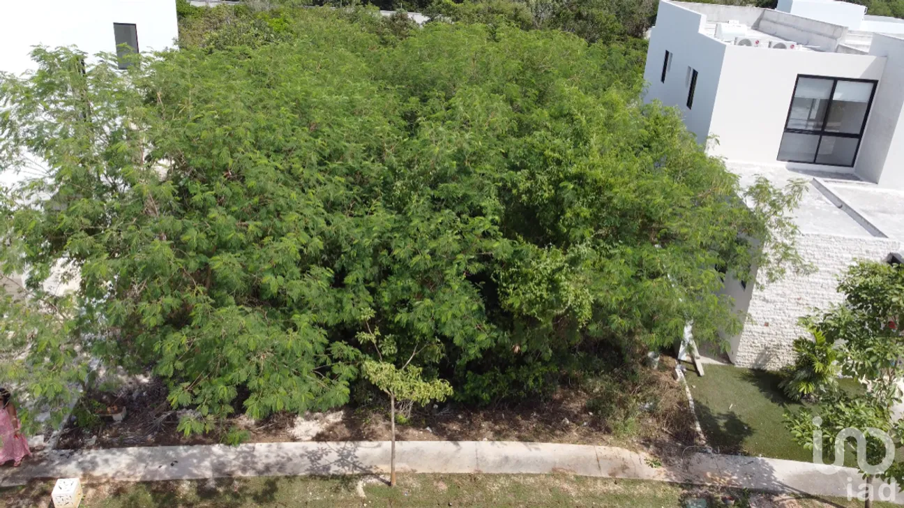 Terreno en Venta en Yucatán Country Club, Mérida, Yucatán | NEX-228650 | iad México | Foto 1 de 8