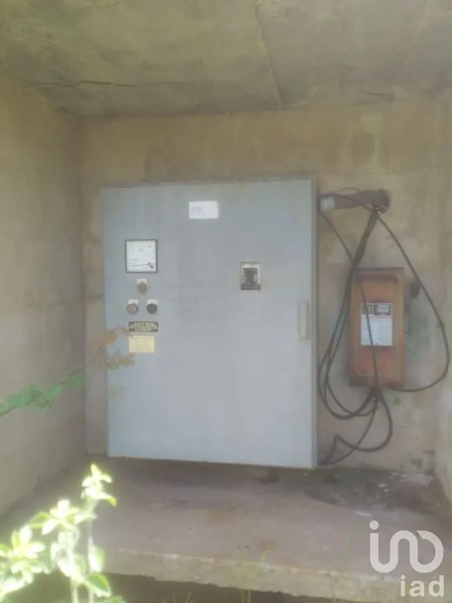 Local en Venta en Seyé, Seyé, Yucatán | NEX-228659 | iad México | Foto 4 de 6