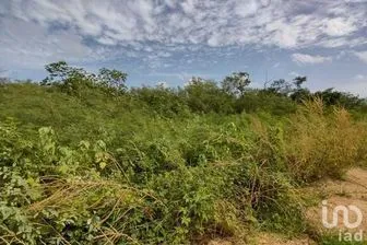 NEX-228659 - Local en Venta, con 20000 m2 de construcción en Seyé, CP 97570, Yucatán.