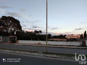 NEX-228669 - Terreno en Venta en San Pedro Cholul, CP 97138, Yucatán.
