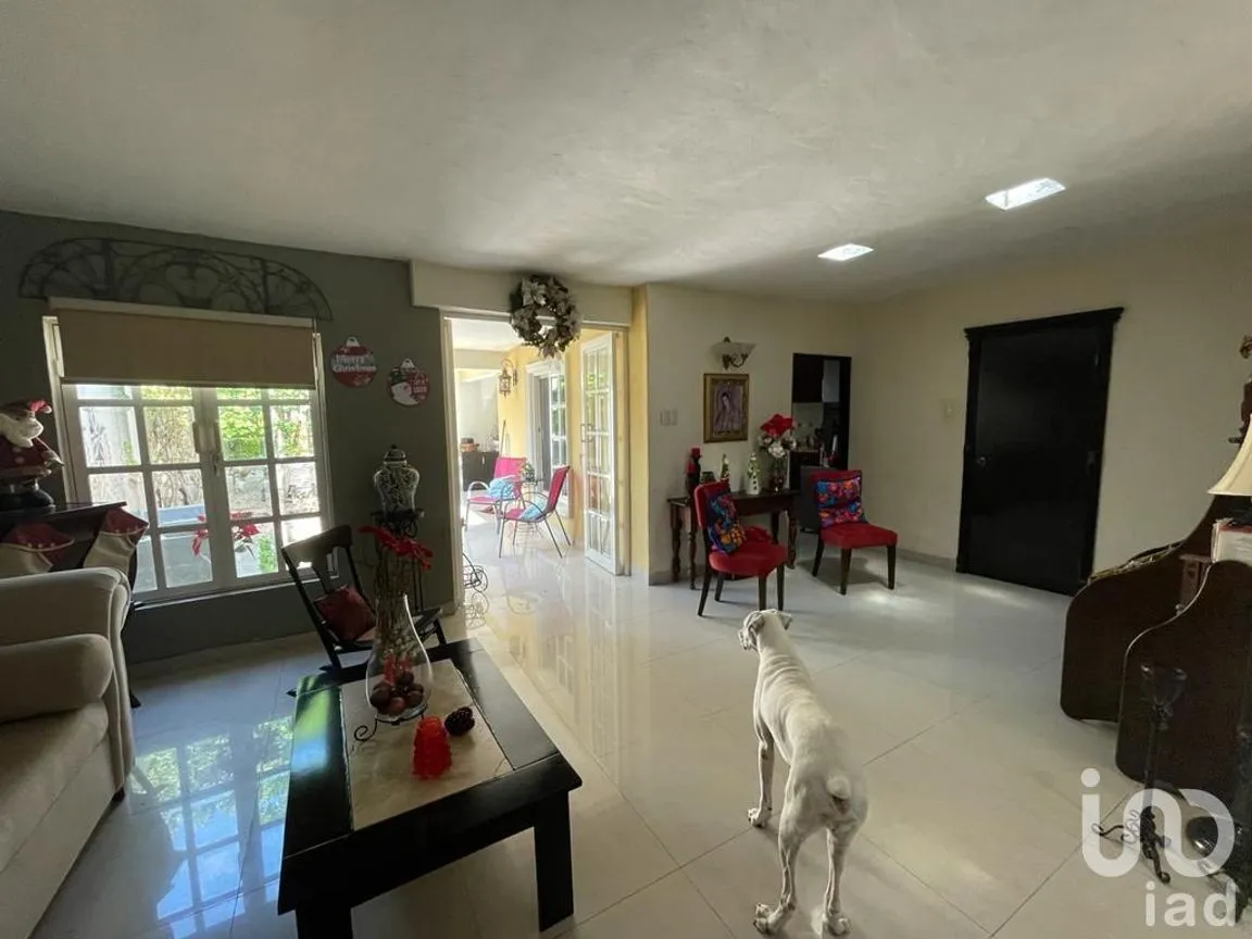 Casa en Venta en Mérida Centro, Mérida, Yucatán | NEX-228670 | iad México | Foto 7 de 26