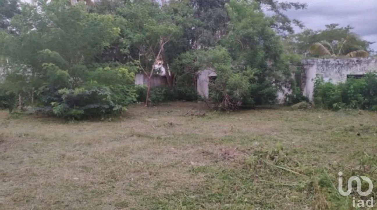 Casa en Venta en Oxkutzcab, Oxkutzcab, Yucatán | NEX-228677 | iad México | Foto 3 de 7