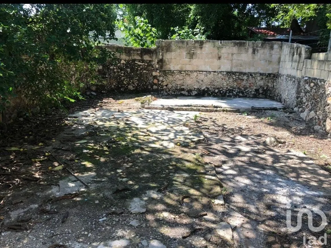 Local en Renta en Mérida Centro, Mérida, Yucatán | NEX-228684 | iad México | Foto 6 de 6