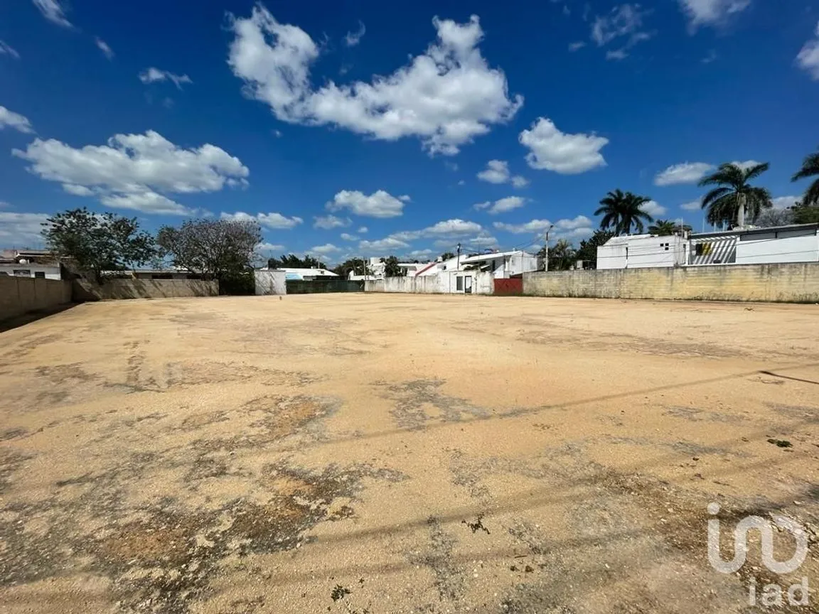 Terreno en Renta en Benito Juárez Nte, Mérida, Yucatán | NEX-228685 | iad México | Foto 2 de 7